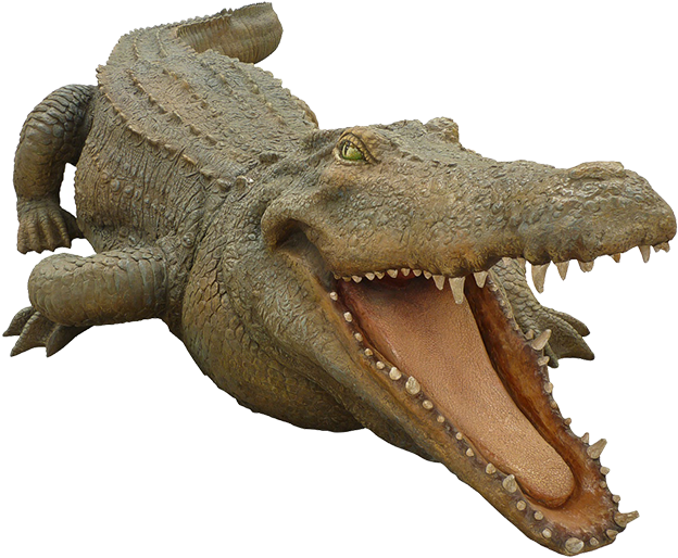 A Crocodile With Its Mouth Open