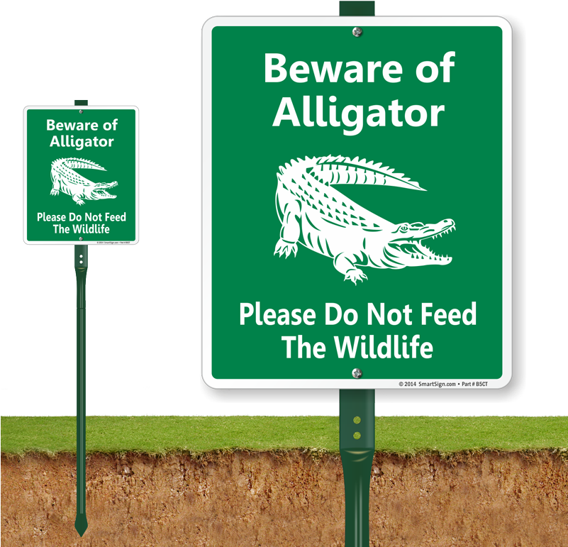 A Green Sign With White Text And A Crocodile On It
