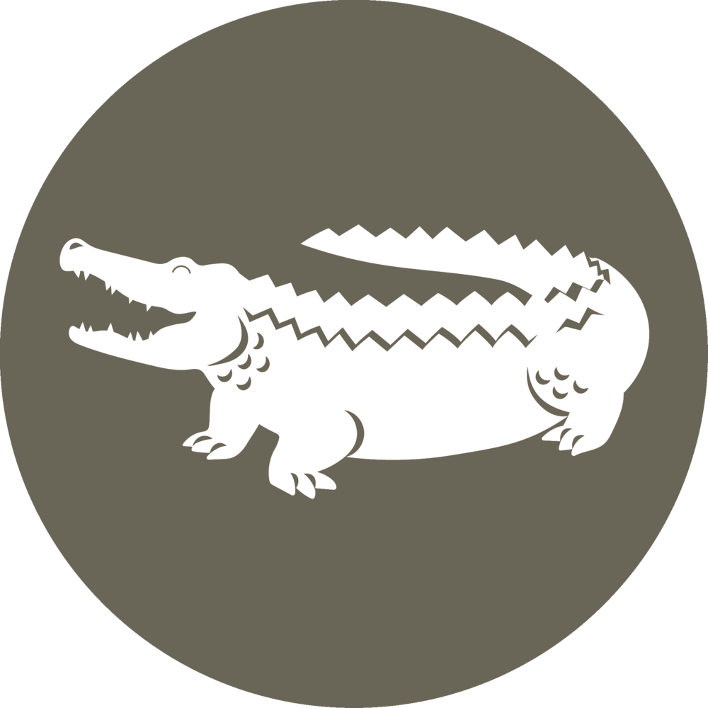 A White Alligator In A Circle