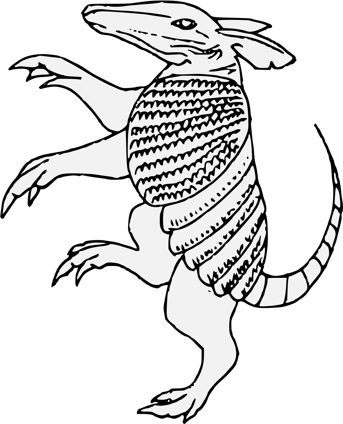 A Black And White Drawing Of An Armadillo