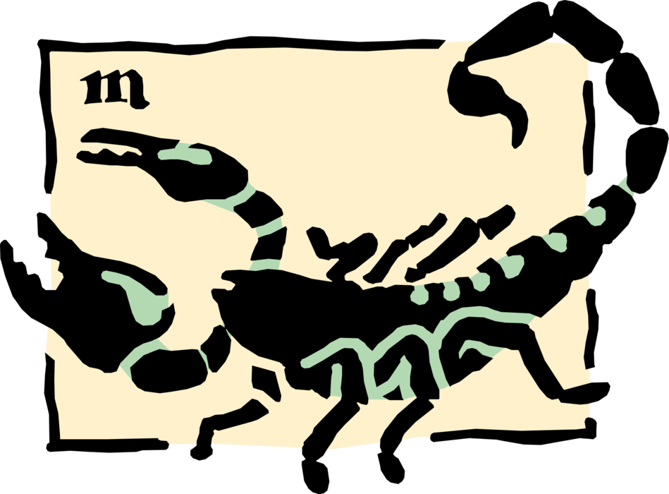 A Black And White Scorpion With A Black Border