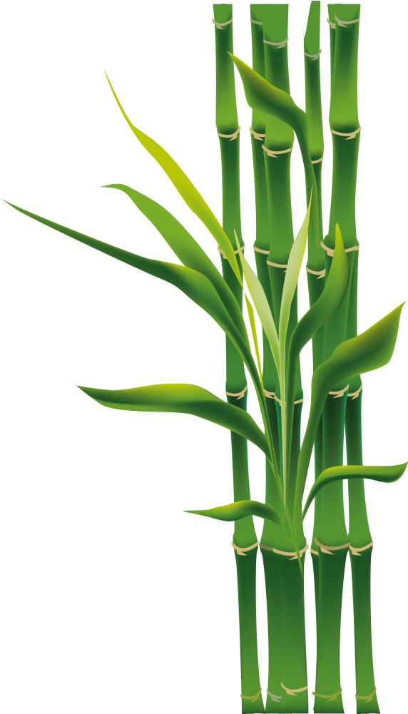 A Green Bamboo Plant With Leaves