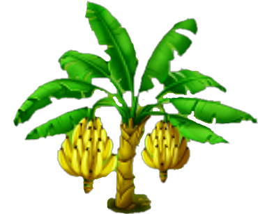 Banana Tree Png