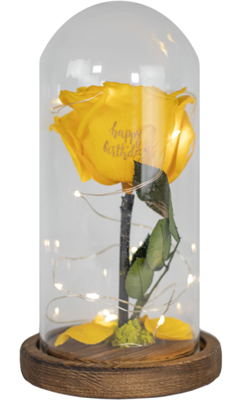 A Yellow Rose In A Glass Container