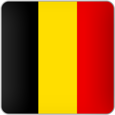 A Red Yellow And Black Flag