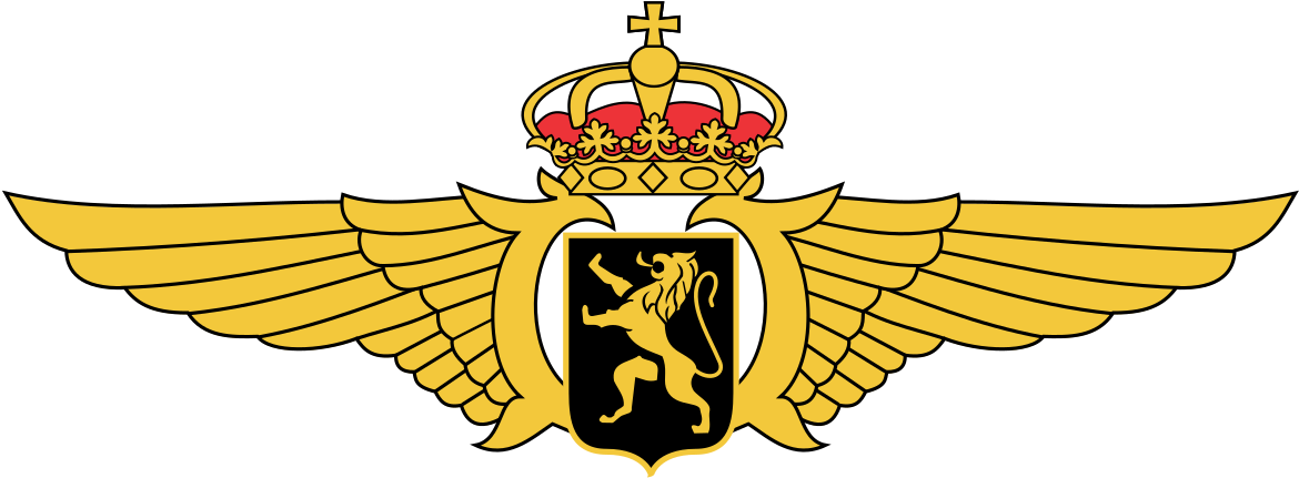 A Gold Emblem With Wings And A Lion