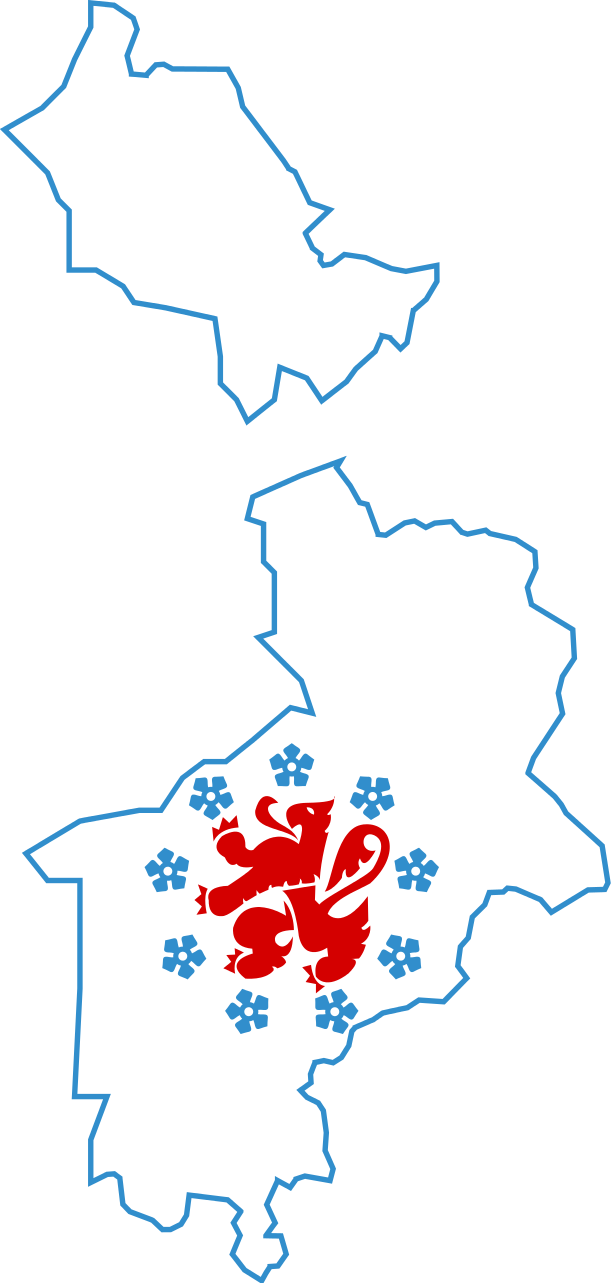 A White Outline With A Red Lion And Blue Outline On A Black Background