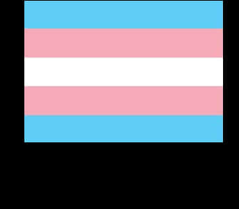 Download Bisexual Flag Png File