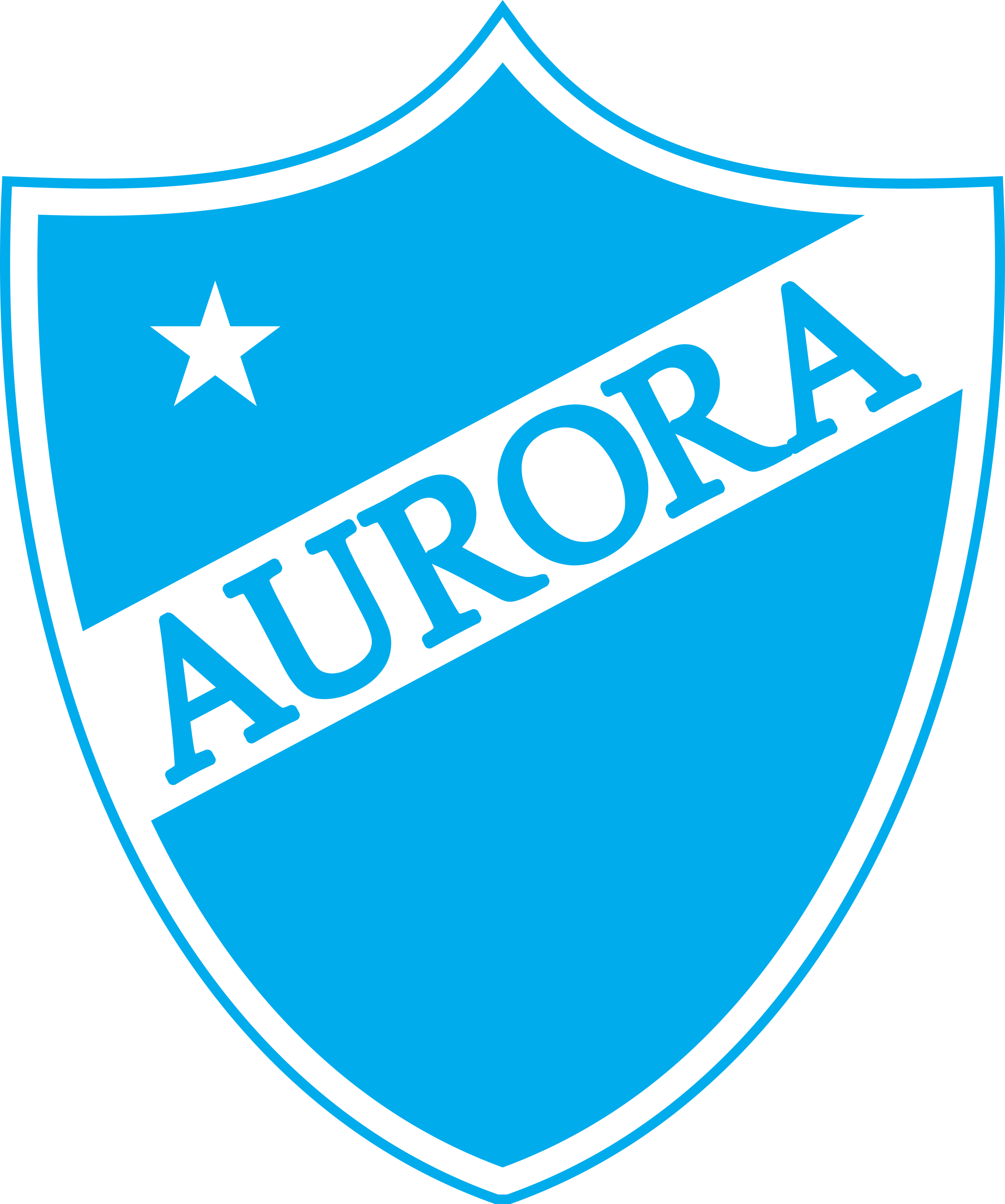 A Blue Shield With White Text