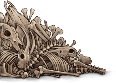 A Skeleton Of A Dinosaur