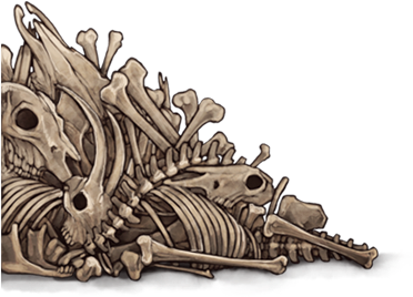 A Skeleton Of A Dinosaur