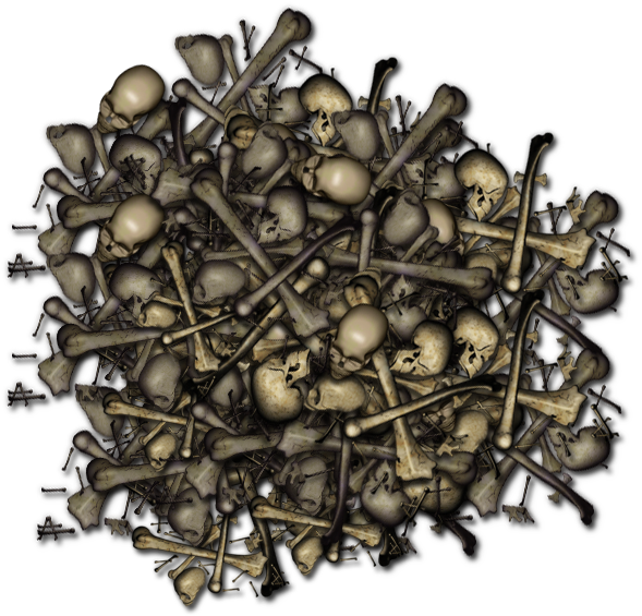 A Pile Of Bones And Skulls