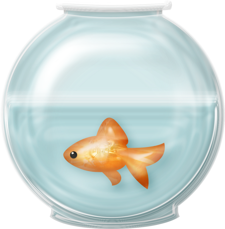 A Goldfish In A Bowl