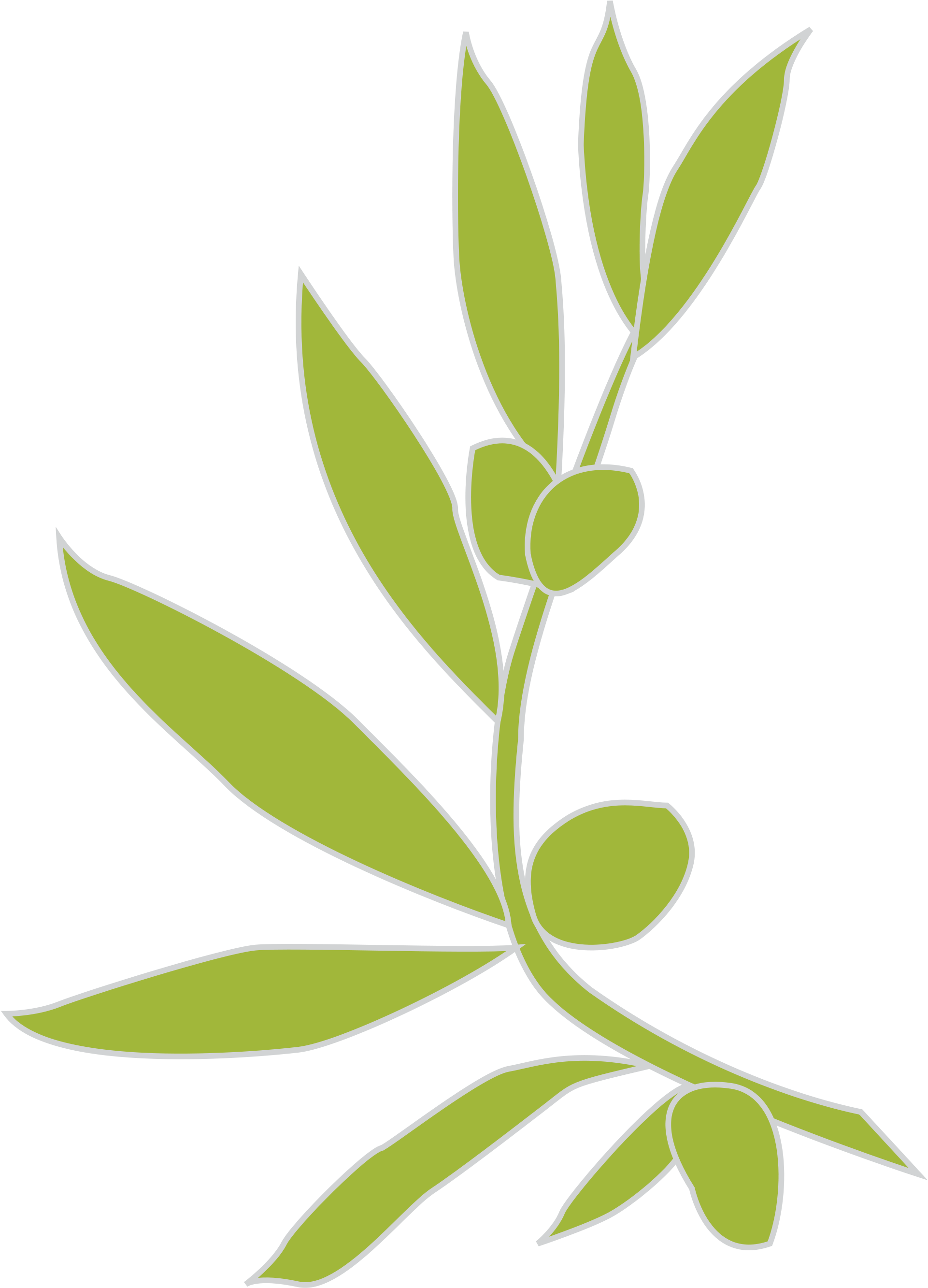 A Green Plant With Leaves