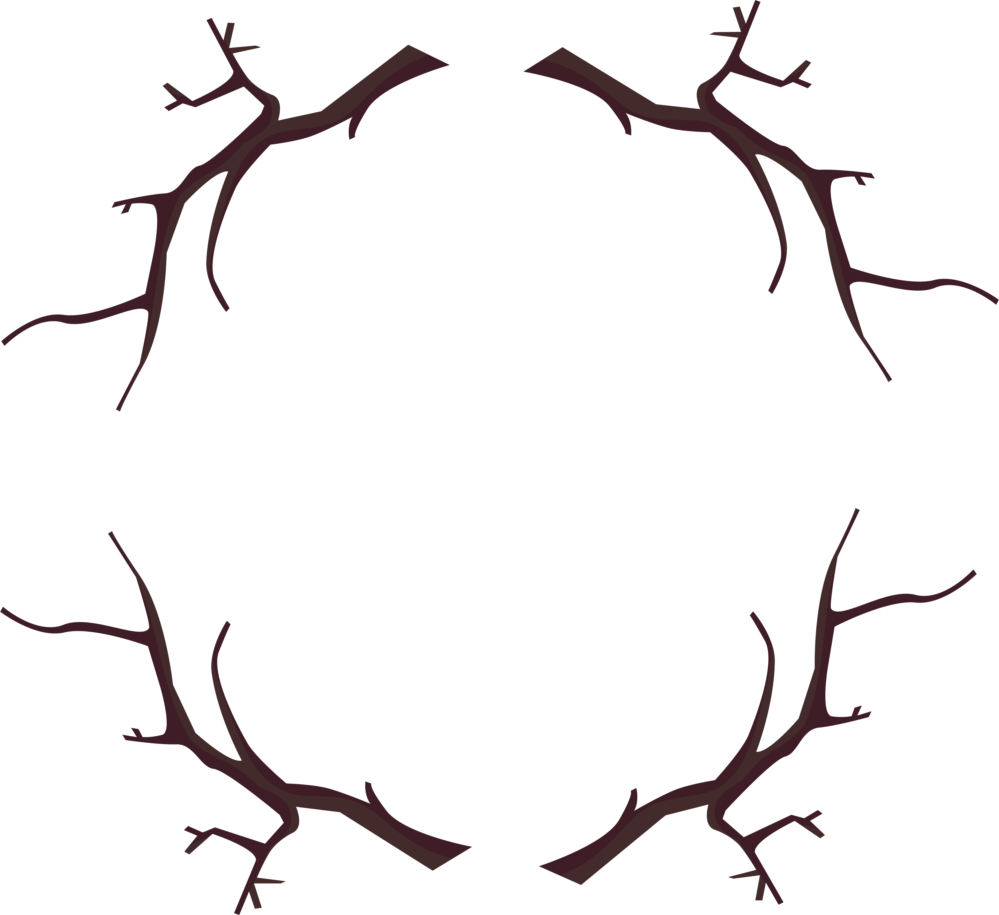 A Frame Of Branches On A Black Background