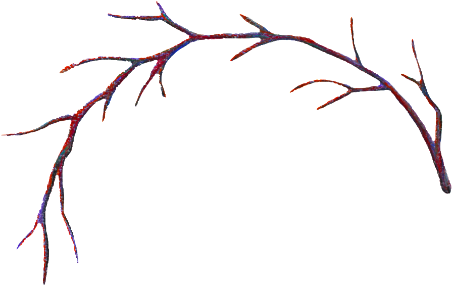 A Red And Blue Branch