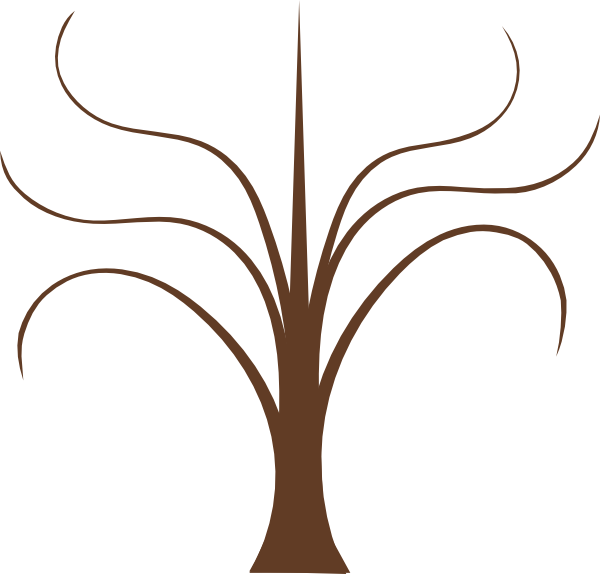 A Brown Tree With Curved Branches