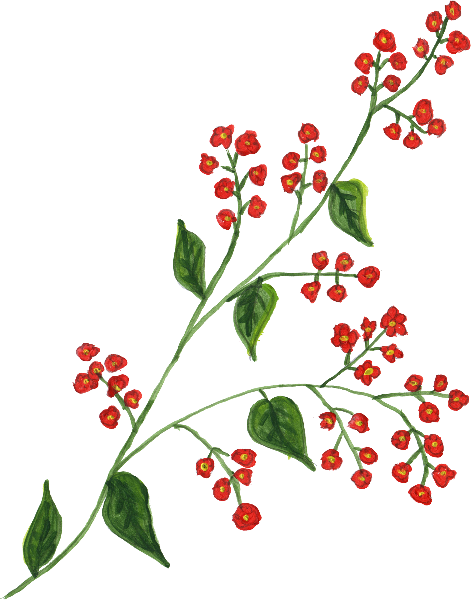 A Red Flowers On A Branch