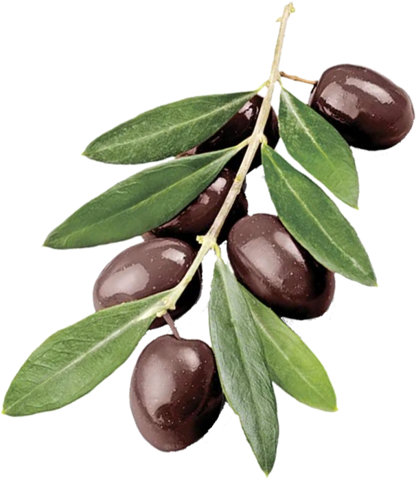 A Close Up Of Olives