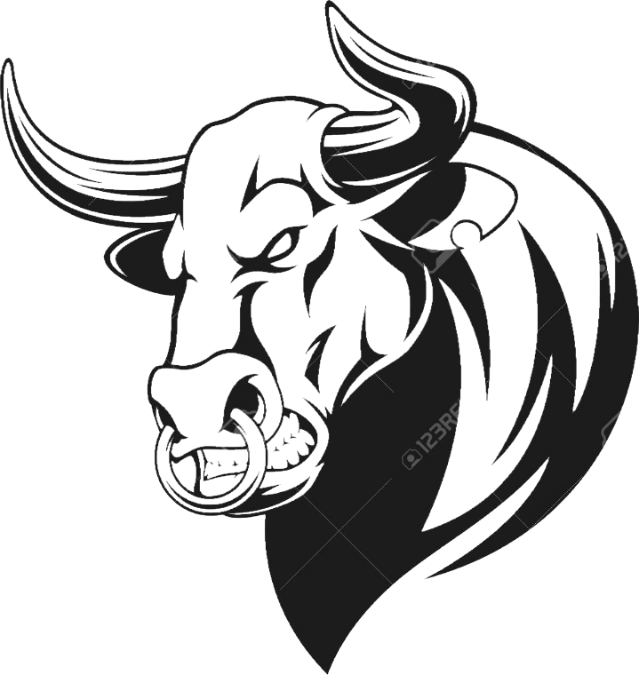 A Black Bull Head With Horns