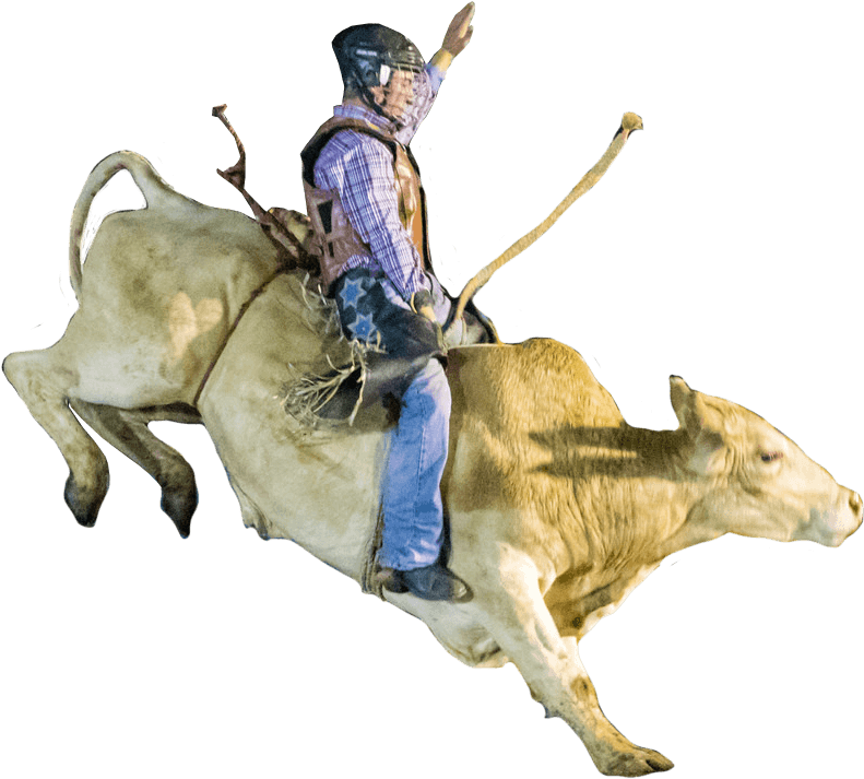 A Man Riding A Bull