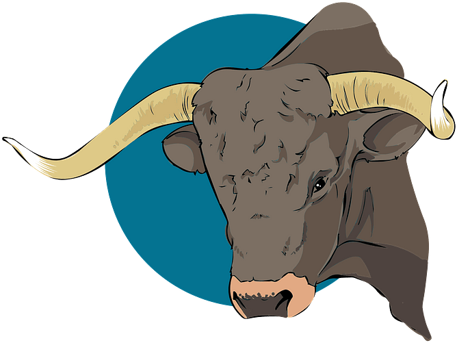 A Bull With Horns On A Black Background