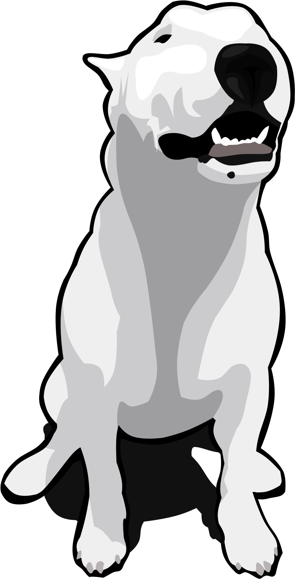 A White Dog With Black Eyes