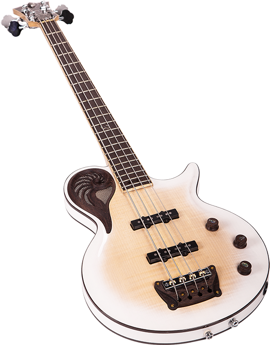 A White And Black Guitar