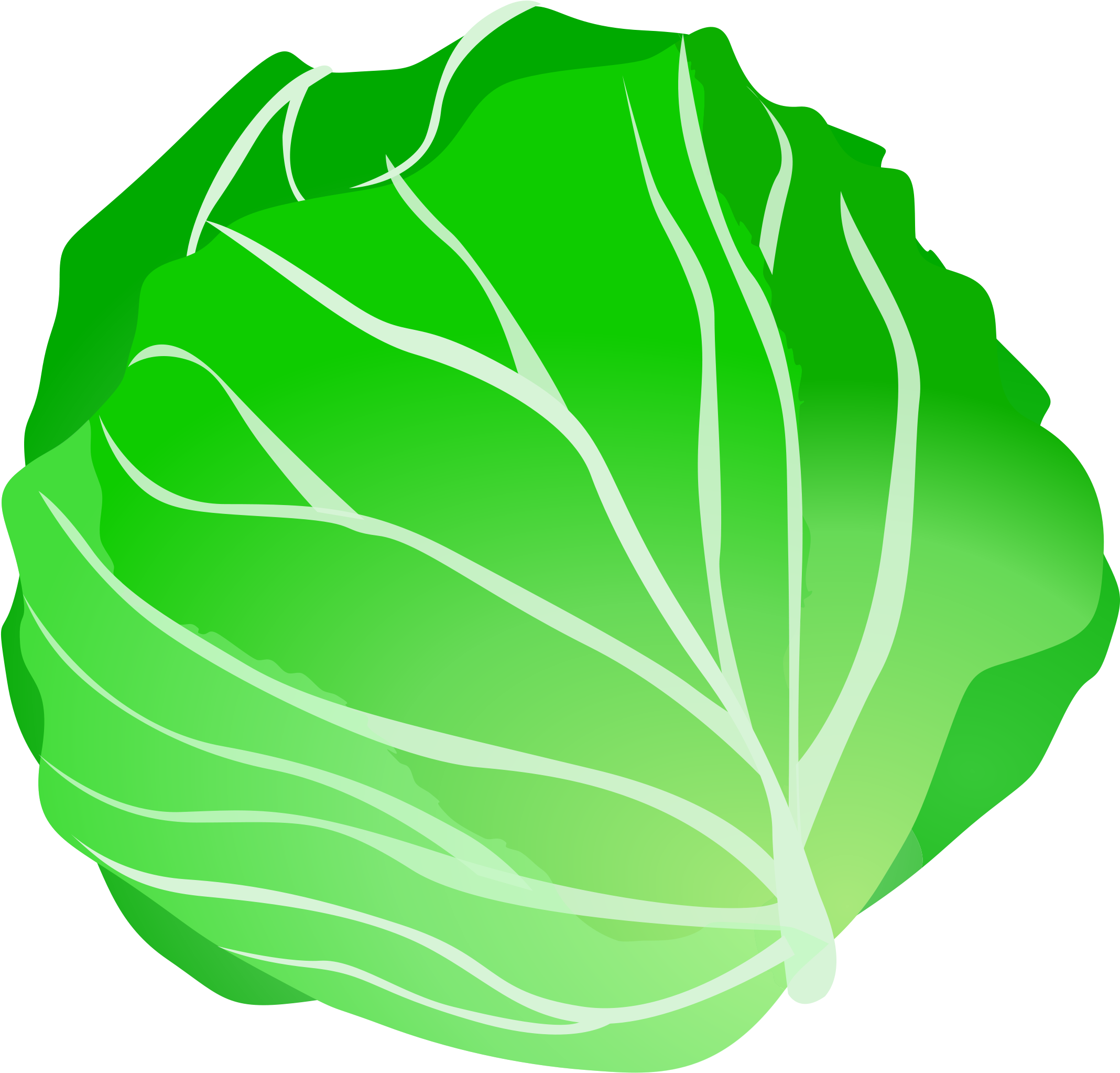 A Green Leaf With White Lines