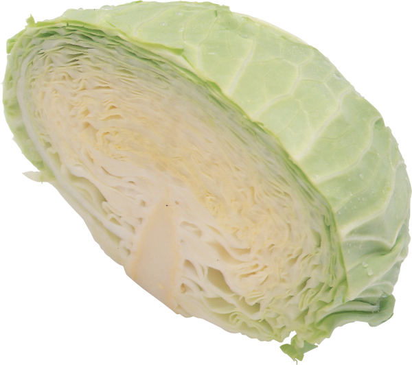 A Head Of Cabbage Cut In Half