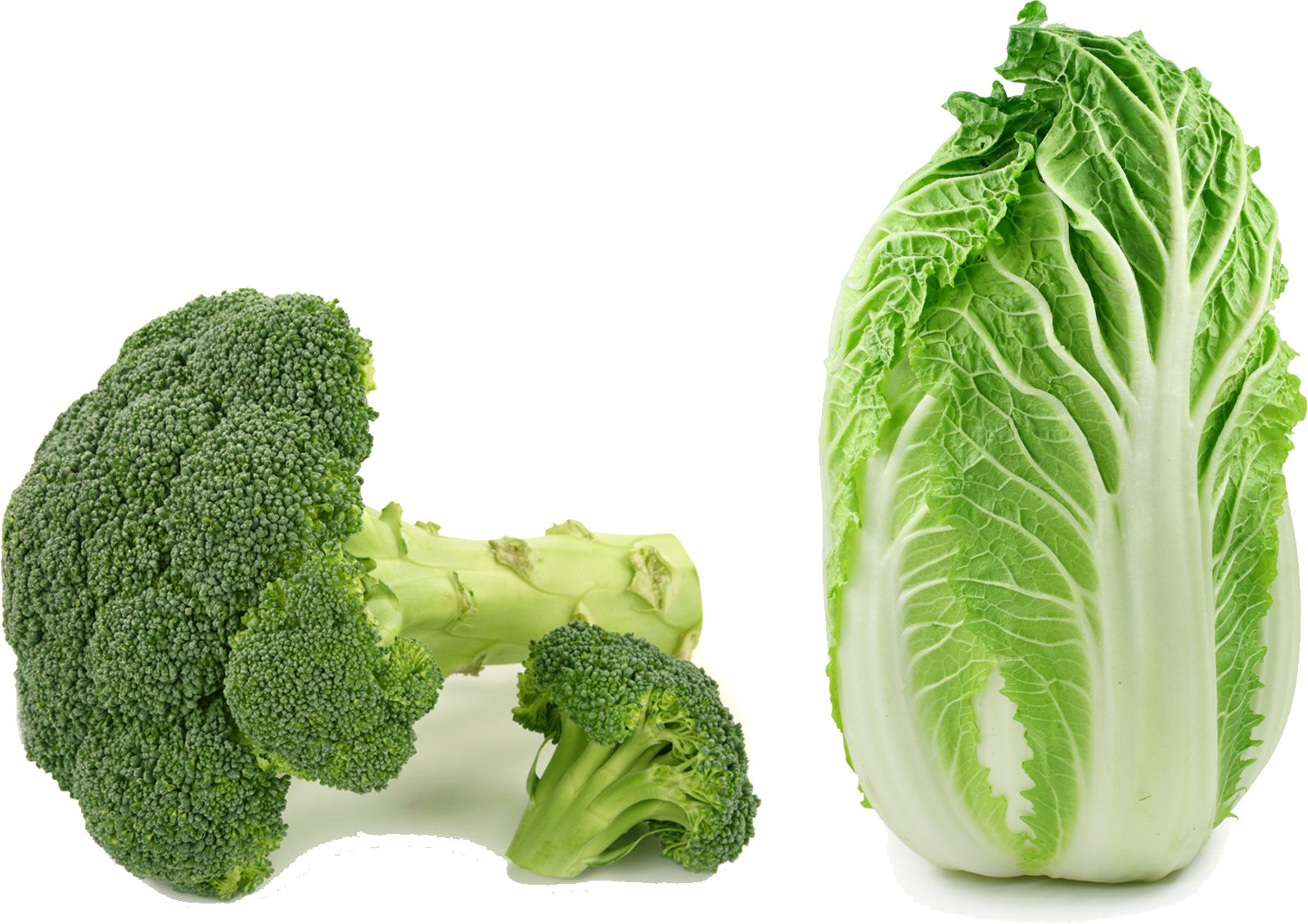 A Head Of Cabbage And Broccoli