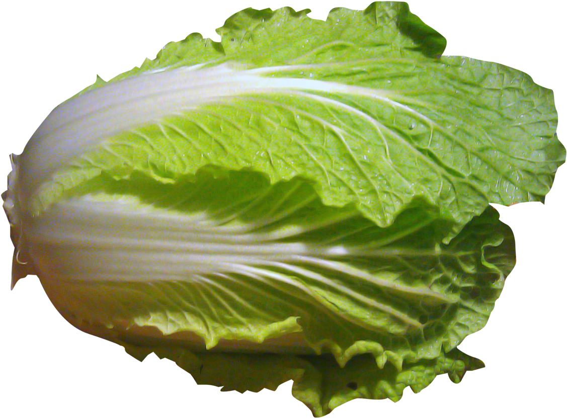 A Close Up Of A Leaf Of Lettuce