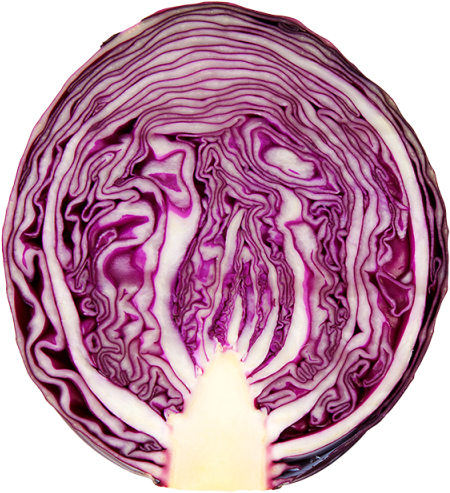 A Close Up Of A Red Cabbage