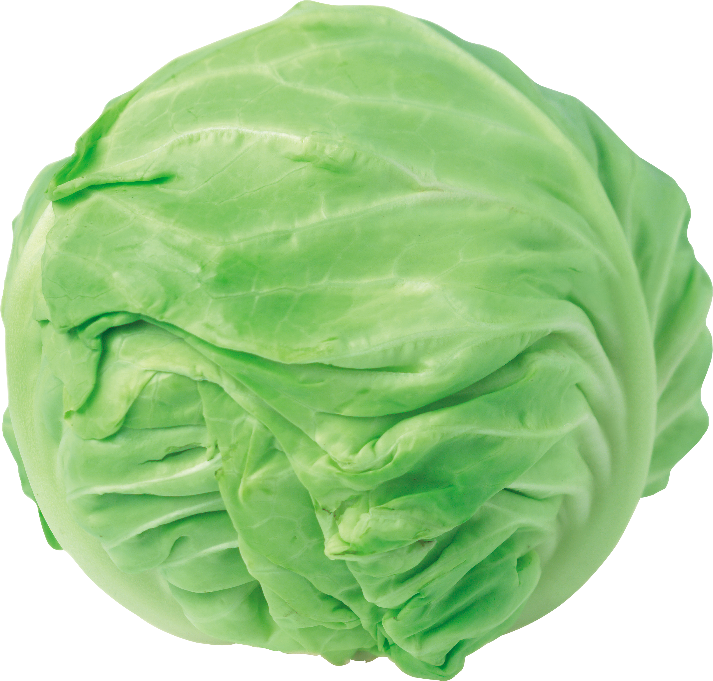 A Head Of Cabbage On A Black Background