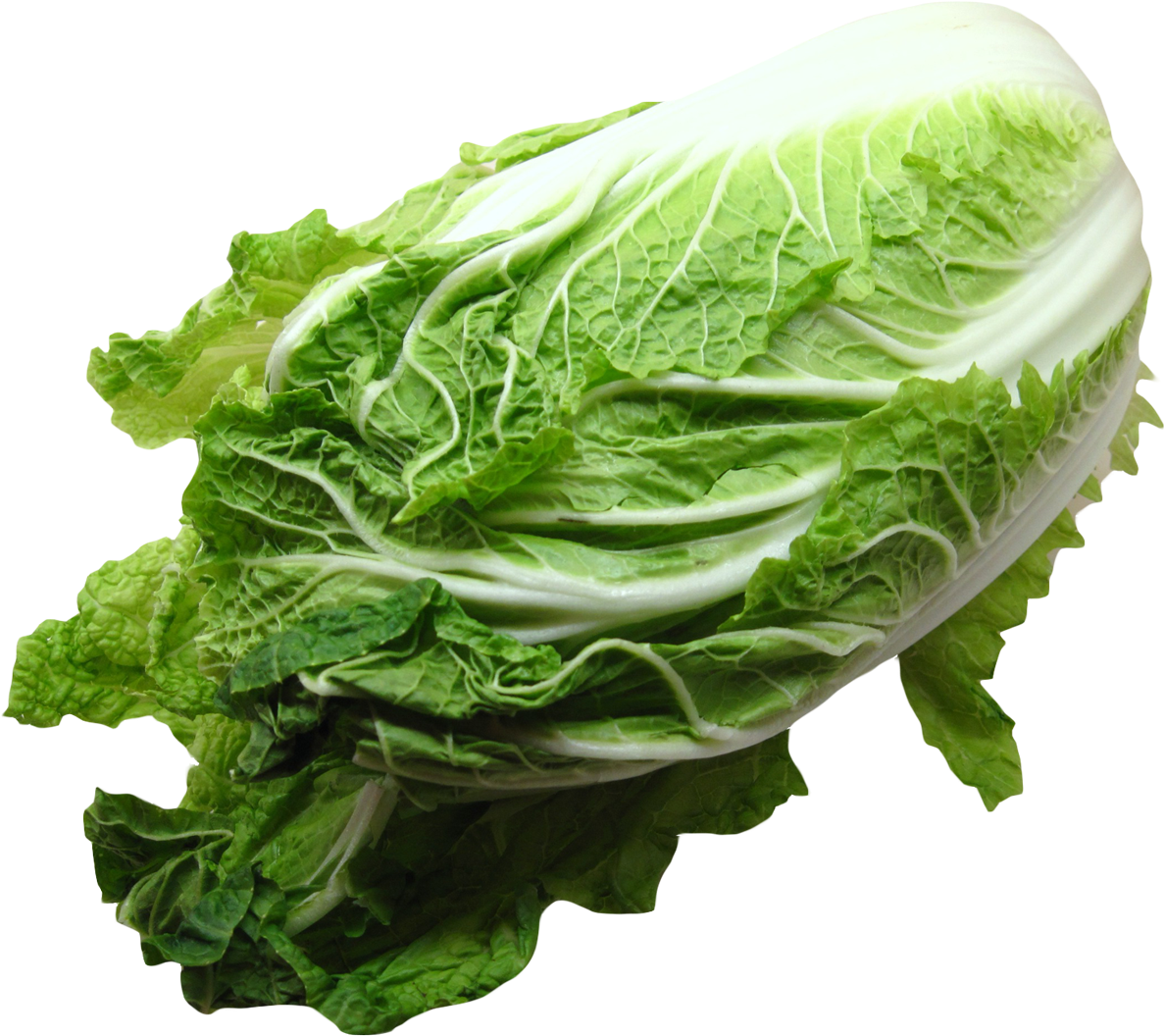 A Head Of Lettuce On A Black Background