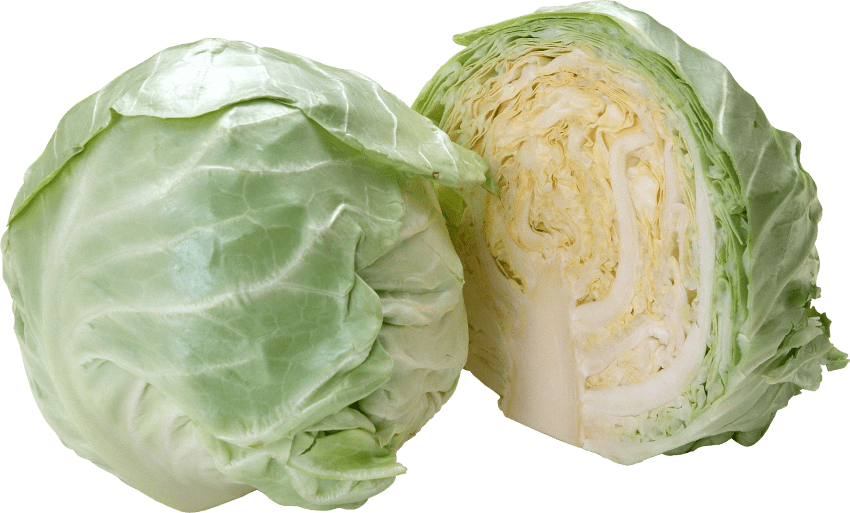 A Head Of Cabbage Cut In Half