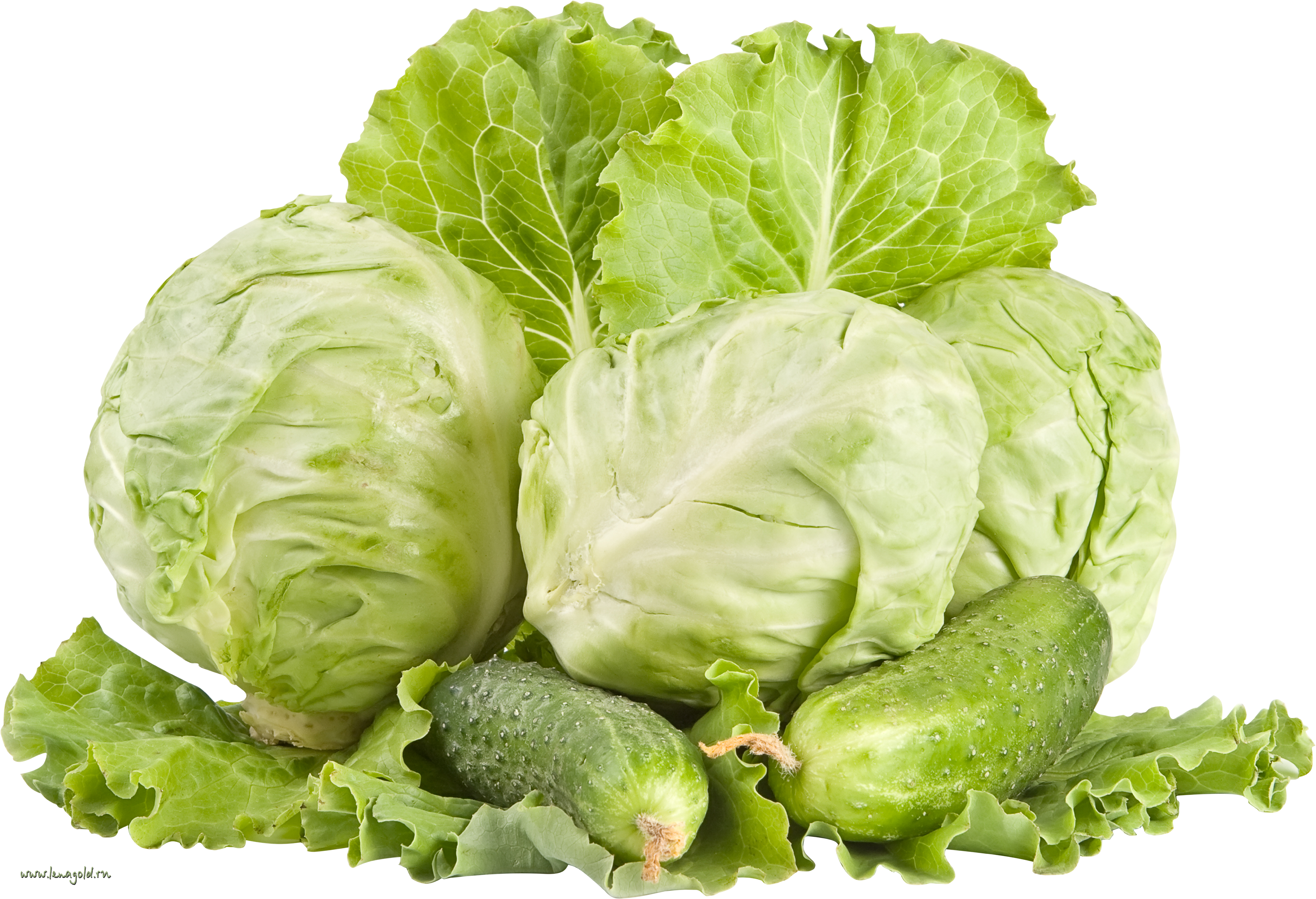 A Group Of Lettuce And Cucumbers