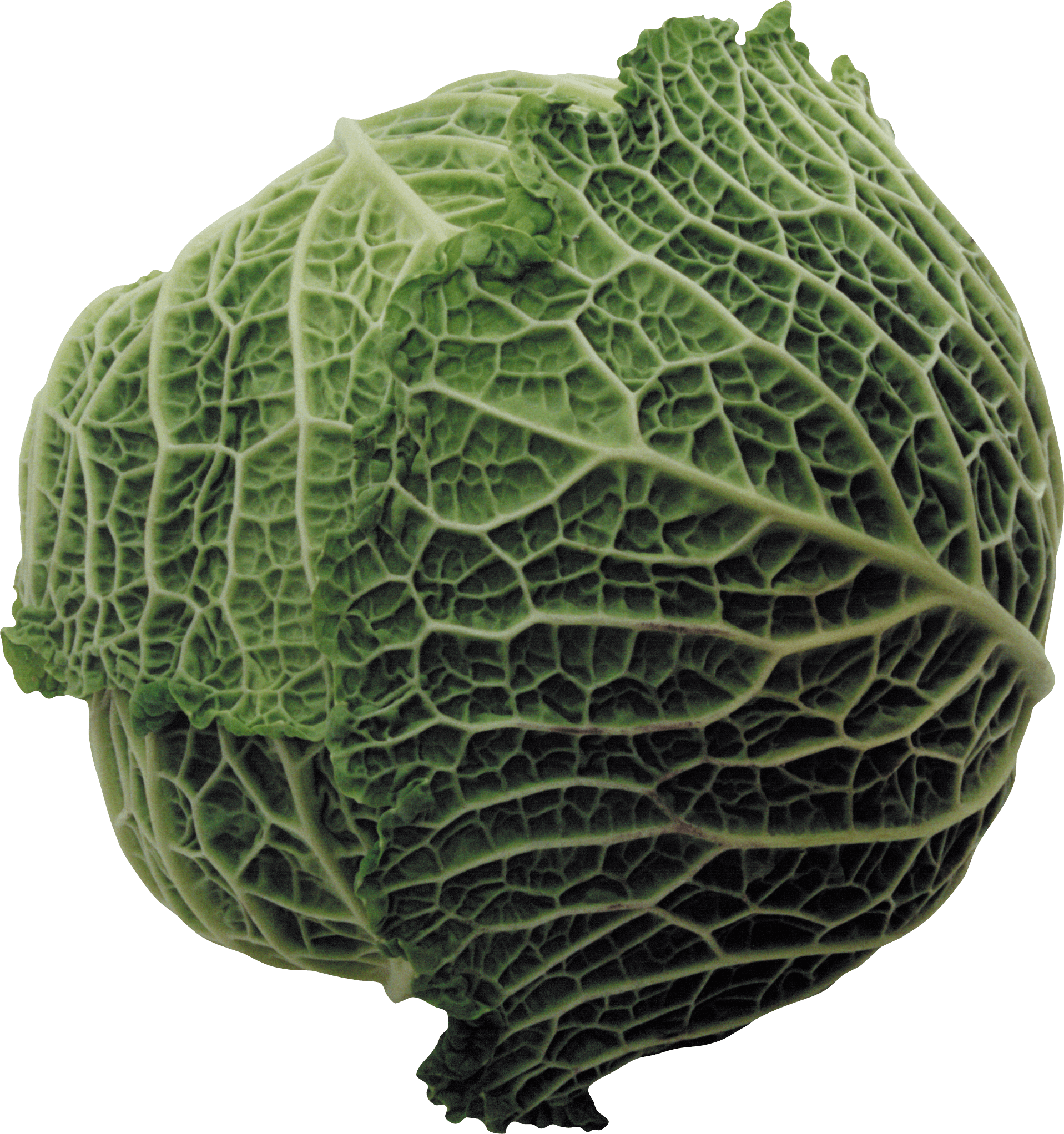 A Close Up Of A Head Of Cabbage