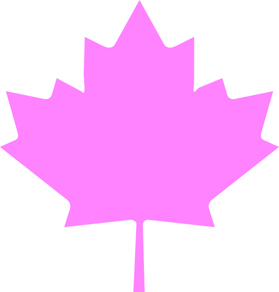 A Pink Maple Leaf On A Black Background