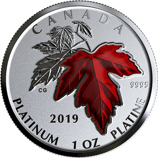 A Silver Coin With A Red Leaf