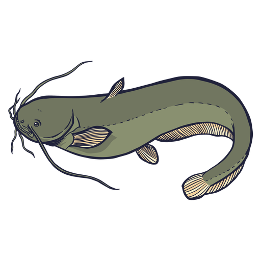 A Drawing Of A Catfish