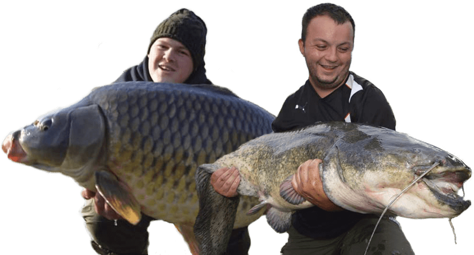 Two Men Holding A Large Fish