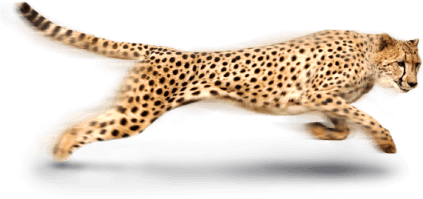 A Cheetah Running With A Black Background