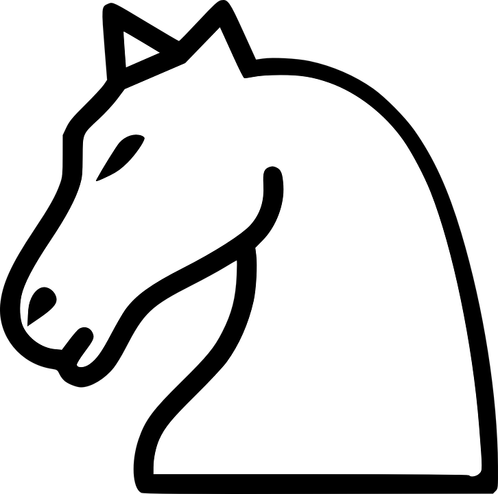A White Horse Head On A Black Background