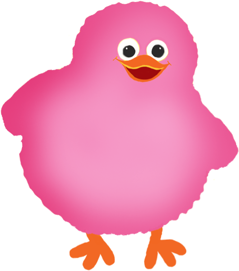 A Pink Fluffy Bird With Orange Feet And A Large Beak