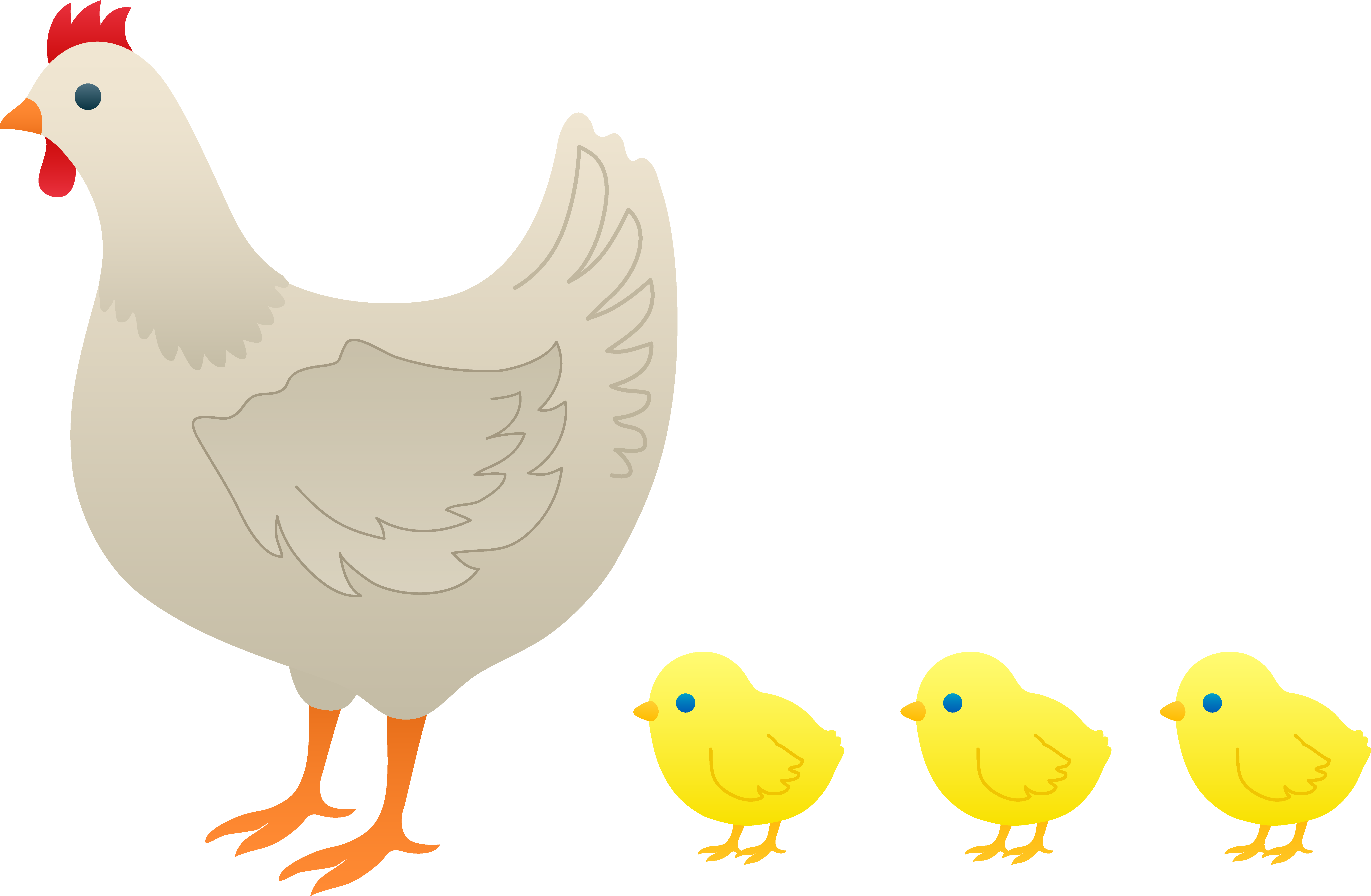 A Chicken And Chicks On A Black Background