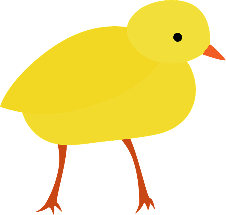 A Yellow Bird With Orange Legs