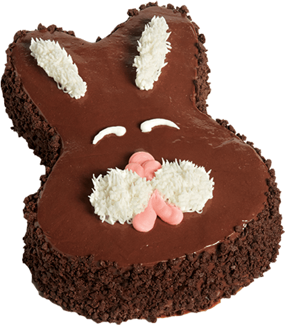 A Chocolate Bunny Cake With White And Pink Frosting
