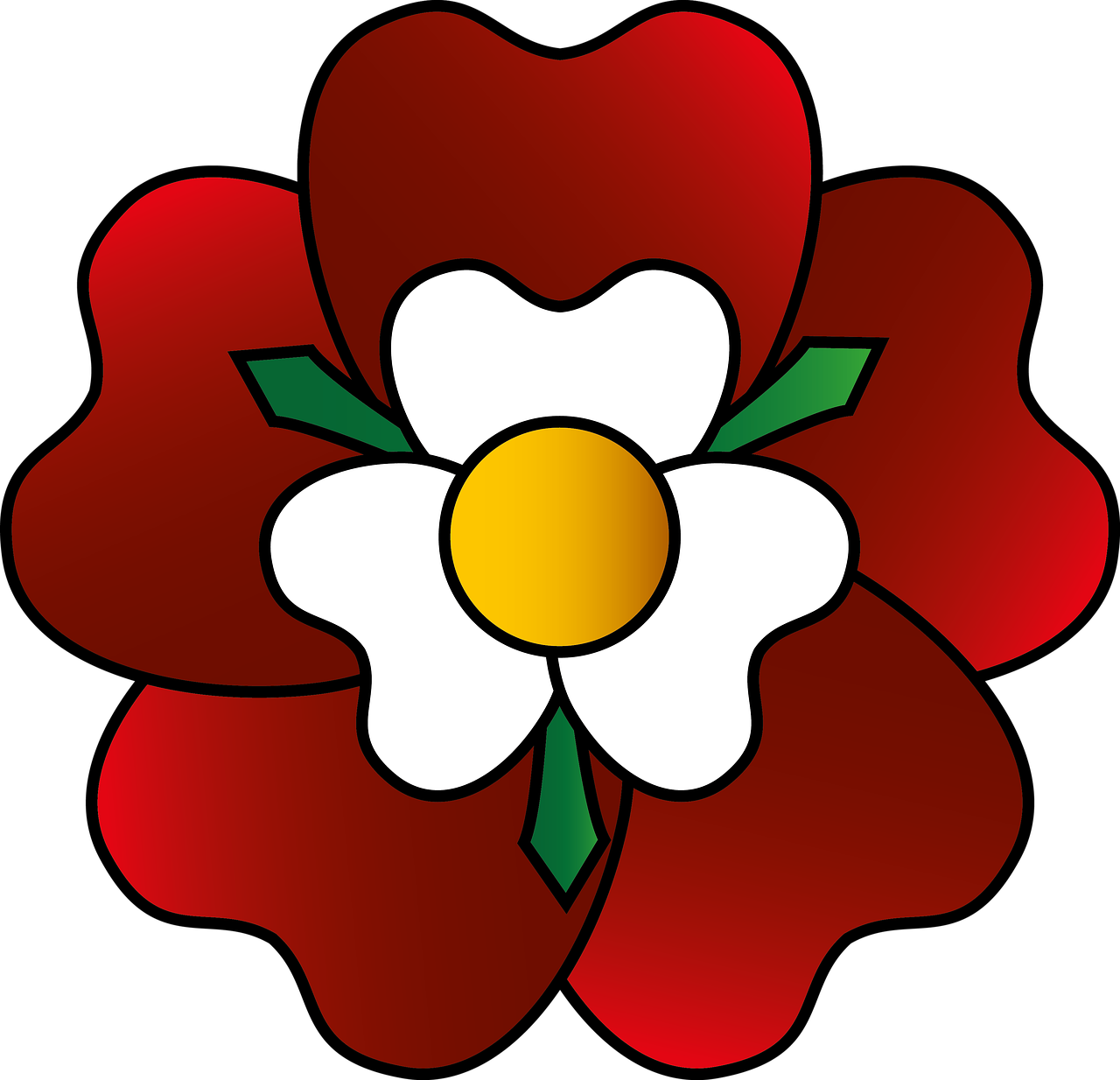 A Red And White Flower With A Yellow Center