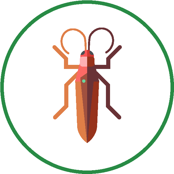 A Red And Orange Bug With Long Legs And A Green Circle Around It